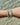 Aura Pearl Aventurine Bracelet Gold