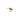 Sagene Trail Stud Goldplated SilverSagene Trail Stud Goldplated Silver Left (one)