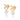 Ellipse mini pearl Earrings Gold