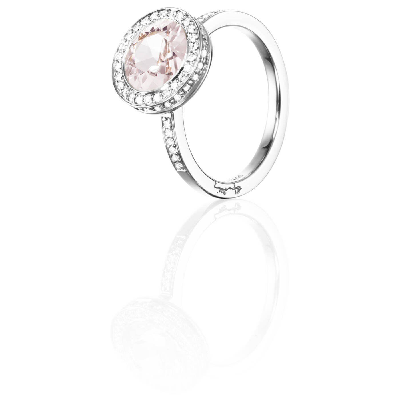 Halo - Morganite Ring Hvidguld