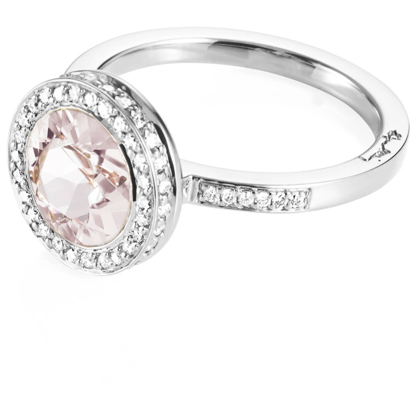 Halo - Morganite Ring Hvidguld