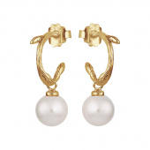 Branch pearl hoops gold